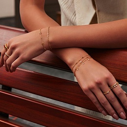 Браслет Ania Haie / B066-01G