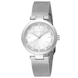 ESPRIT Women Watch, Silver Color Case, Silver Dial, Stainless Steel Mesh Bracelet, 3 Hands, 5 ATM