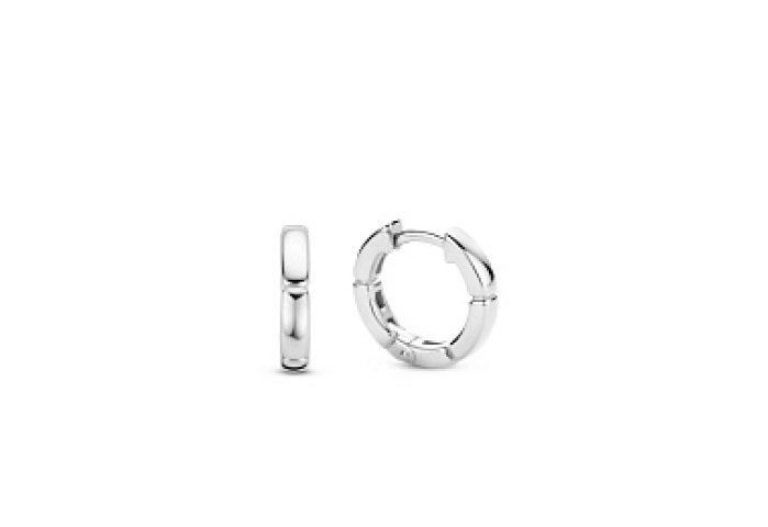 TI SENTO Earrings