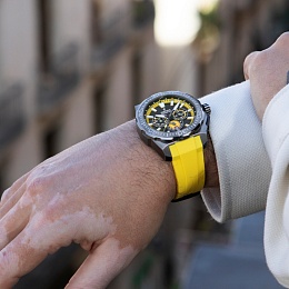 Наручные часы  Festina / F20725-1