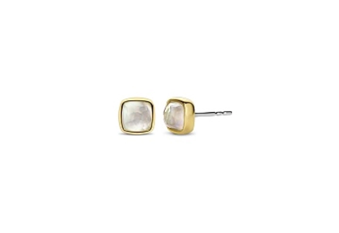 TI SENTO Earrings Gilded /7885MW