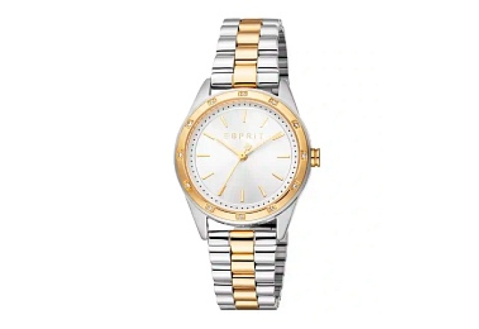 ESPRIT Women Watch, Two Tone Silver & Gold Color C