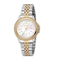 ESPRIT Women Watch, Two Tone Silver & Gold Color C