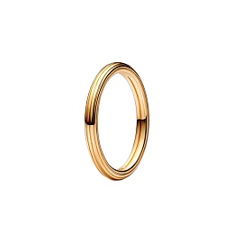 14k Gold-plated ring