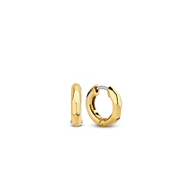 TI SENTO Earrings Gilded LNA /7823SY