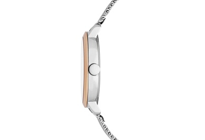 ESPRIT&Stainless5 ATMRose WomenGoldSteelColorMeshWatch,Case,Bracelet,TwoSilverTone3Dial,Hands,Silver