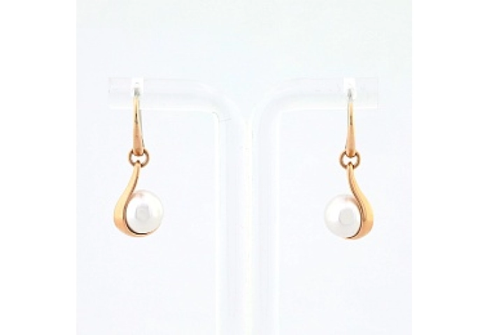 Skagen  Earring/SKJ0617791