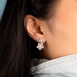 Серьги APM Monaco / AE16132XPL