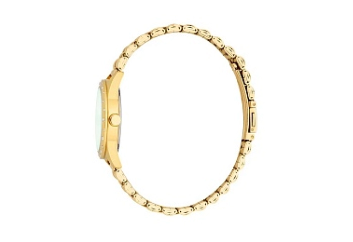 ESPRIT Women Watch, Two Tone Silver & Gold Color C
