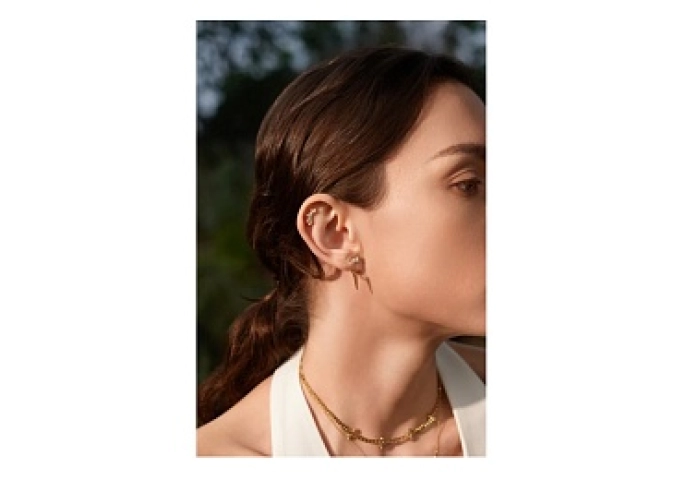 Gold Point Stud Ear Jackets