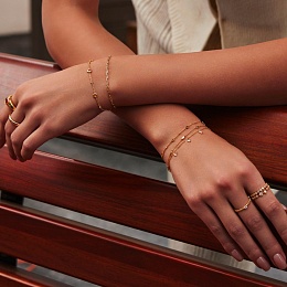 Браслет Ania Haie / B066-03G