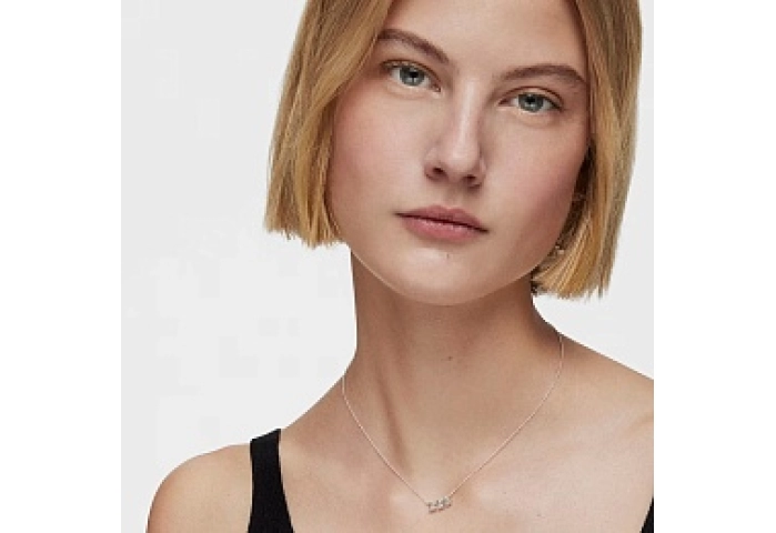 SILVER CHOKER 3 BEARS