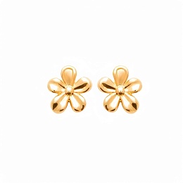 EARRINGS 18 KT GOLD PLATED