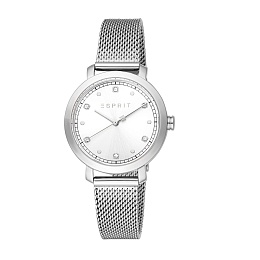 ESPRIT Women Watch, Silver Color Case, Silver Dial