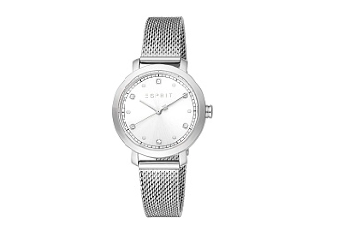 ESPRIT Women Watch, Silver Color Case, Silver Dial